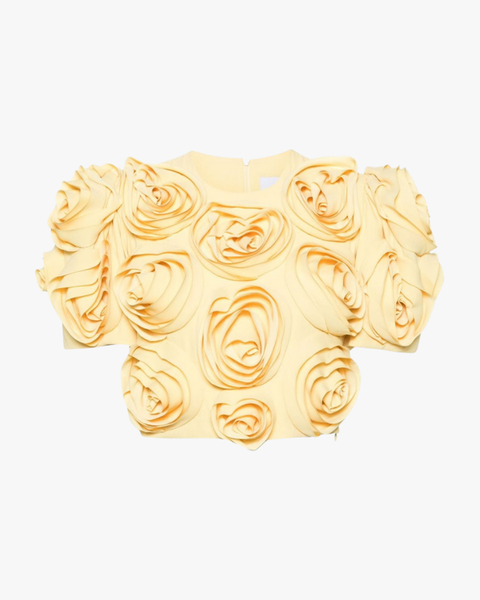 Aelis Kabarcık Omuz Çiçekli Etek Seti